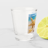 貝のショットグラス ショットグラス (左)