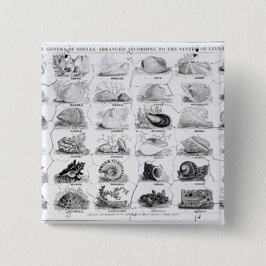 貝のジグソーパズル、パブの属。 W. Edwards著 缶バッジ (正面)