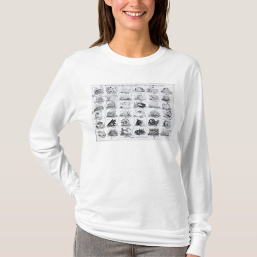 貝のジグソーパズル、パブの属。 W. Edwards著 Tシャツ (正面)