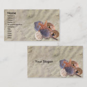 貝のプロフィールカード 名刺 (正面/裏面)