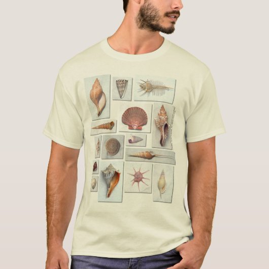 貝のワイシャツ Tシャツ (正面)