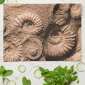 貝の化石 キッチンタオル (折り畳み)