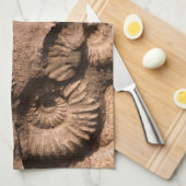 貝の化石 キッチンタオル (四つ折り)