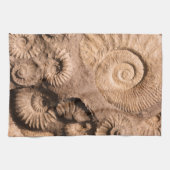貝の化石 キッチンタオル (横)