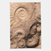 貝の化石 キッチンタオル (縦)