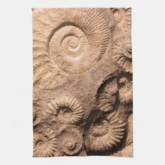 貝の化石 キッチンタオル (縦)