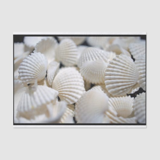 貝の奨励金 薄葉紙 (正面)