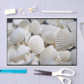 貝の奨励金 薄葉紙 (クラフト)