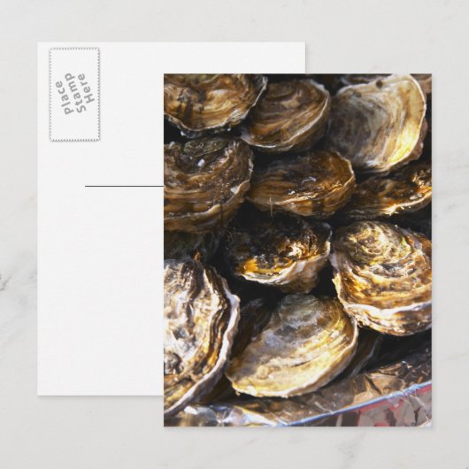 貝の皿 ポストカード (正面/裏面)