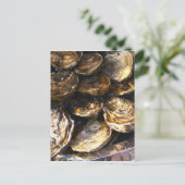 貝の皿 ポストカード (スタンド正面)