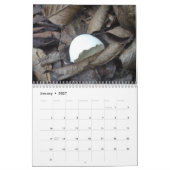 貝の2017カレンダー カレンダー (1月 2027)