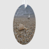 貝殻および海カモメ オーナメント (正面)