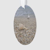 貝殻および海カモメ オーナメント (正面)