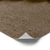 貝殻で作ったバレンタインハート ポスター (角)