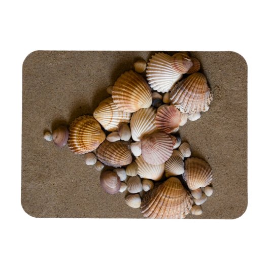 貝殻で作ったバレンタインハート マグネット (横)