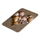 貝殻で作ったバレンタインハート マグネット (左側)