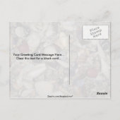 貝殻とカリブの環太平洋貝 ポストカード (裏面)