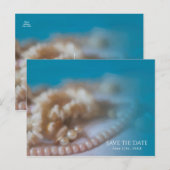 貝殻とパールのエレガントなペイント Save the Date 案内ポストカード (正面/裏面)
