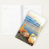 貝殻とヒトデのビーチ プランナー手帳 (ディスプレー)