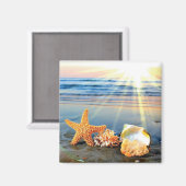 貝殻とヒトデのビーチ マグネット (正面/裏面)