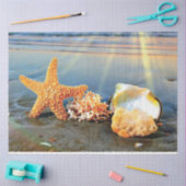 貝殻とヒトデのビーチ 薄葉紙 (クラフト)