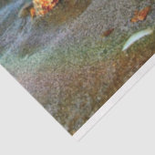 貝殻とヒトデのビーチ 薄葉紙 (詳細)