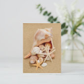 貝殻とヒトデの入ったタニシガイ ポストカード (スタンド正面)