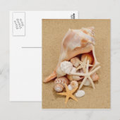 貝殻とヒトデの入ったタニシガイ ポストカード (正面/裏面)