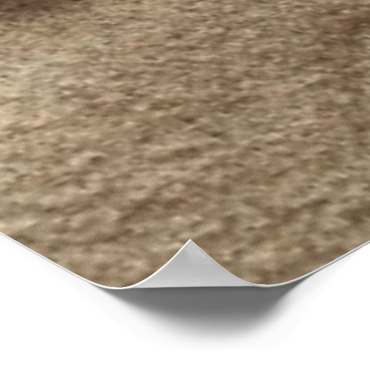 貝殻とヒトデの砂のビーチ背景 ポスター (角)