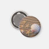 貝殻とヒトデ マグネット (正面/裏面)