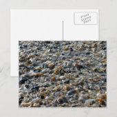 貝殻と小石 ポストカード (正面/裏面)