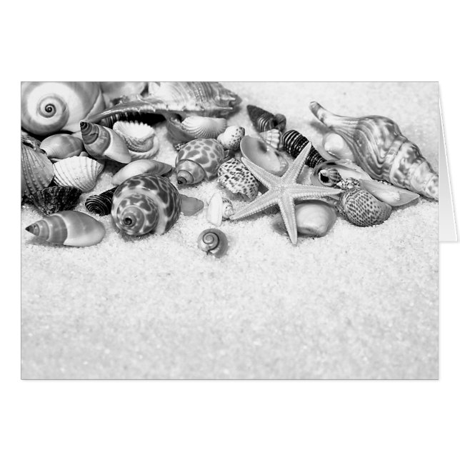 貝殻と星魚カード (正面横)