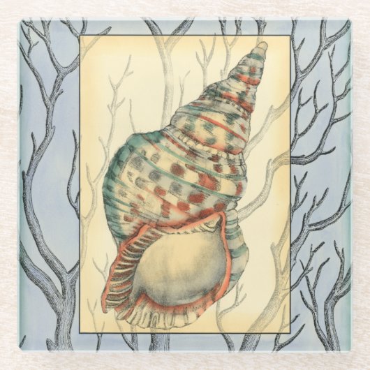 貝殻と木の枝 ガラスコースター (正面)