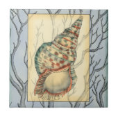 貝殻と木の枝 タイル (正面)