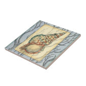 貝殻と木の枝 タイル (側面)