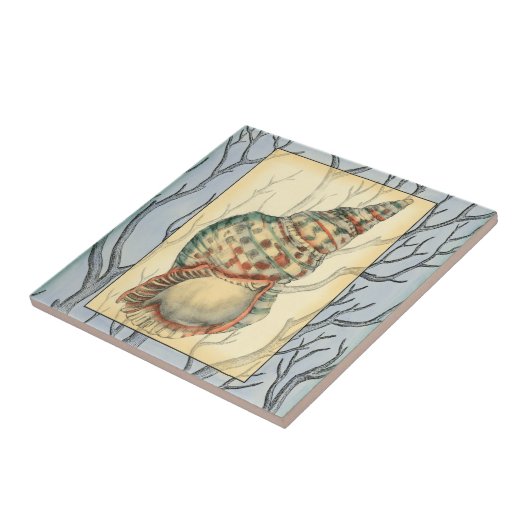 貝殻と木の枝 タイル (側面)