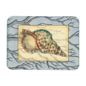 貝殻と木の枝 マグネット (横)