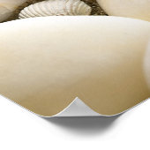 貝殻と石を持つ砂。ビーチ組成 ポスター (角)