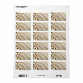 貝殻と石を持つ砂。ビーチ組成 ラベル (フルシート)