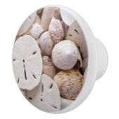 貝殻と砂ドル セラミックノブ (右)