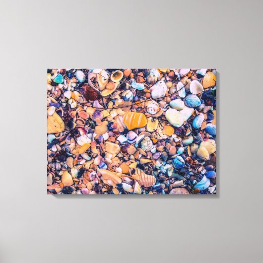 貝殻と礫 キャンバスプリント (正面)
