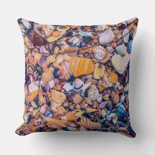 貝殻と礫 クッション (正面)