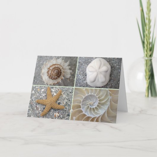 貝殻のコラージュ カード (正面)