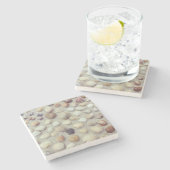 貝殻のコレクション ストーンコースター (横)