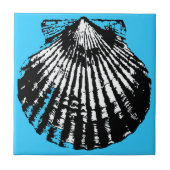 貝殻のスケッチ タイル (正面)