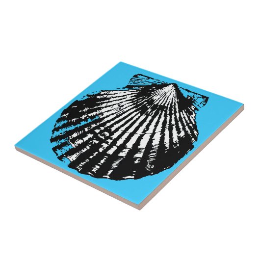 貝殻のスケッチ タイル (側面)