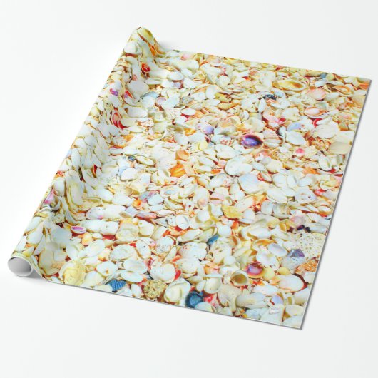 貝殻の包装紙 ラッピングペーパー (アンロールド)