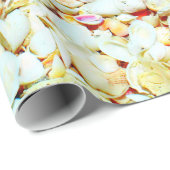 貝殻の包装紙 ラッピングペーパー (ロールコーナー)