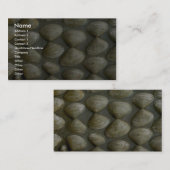 貝殻の壁 名刺 (正面/裏面)