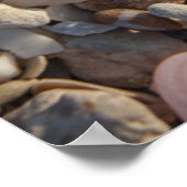 貝殻の山 ポスター (角)